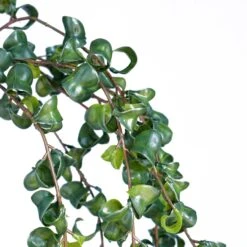 Hoya Stem 11 Hoya Stem -Noir || Bloomingville Shop Hoya Stem StyleMeGHD Faux Plants 4