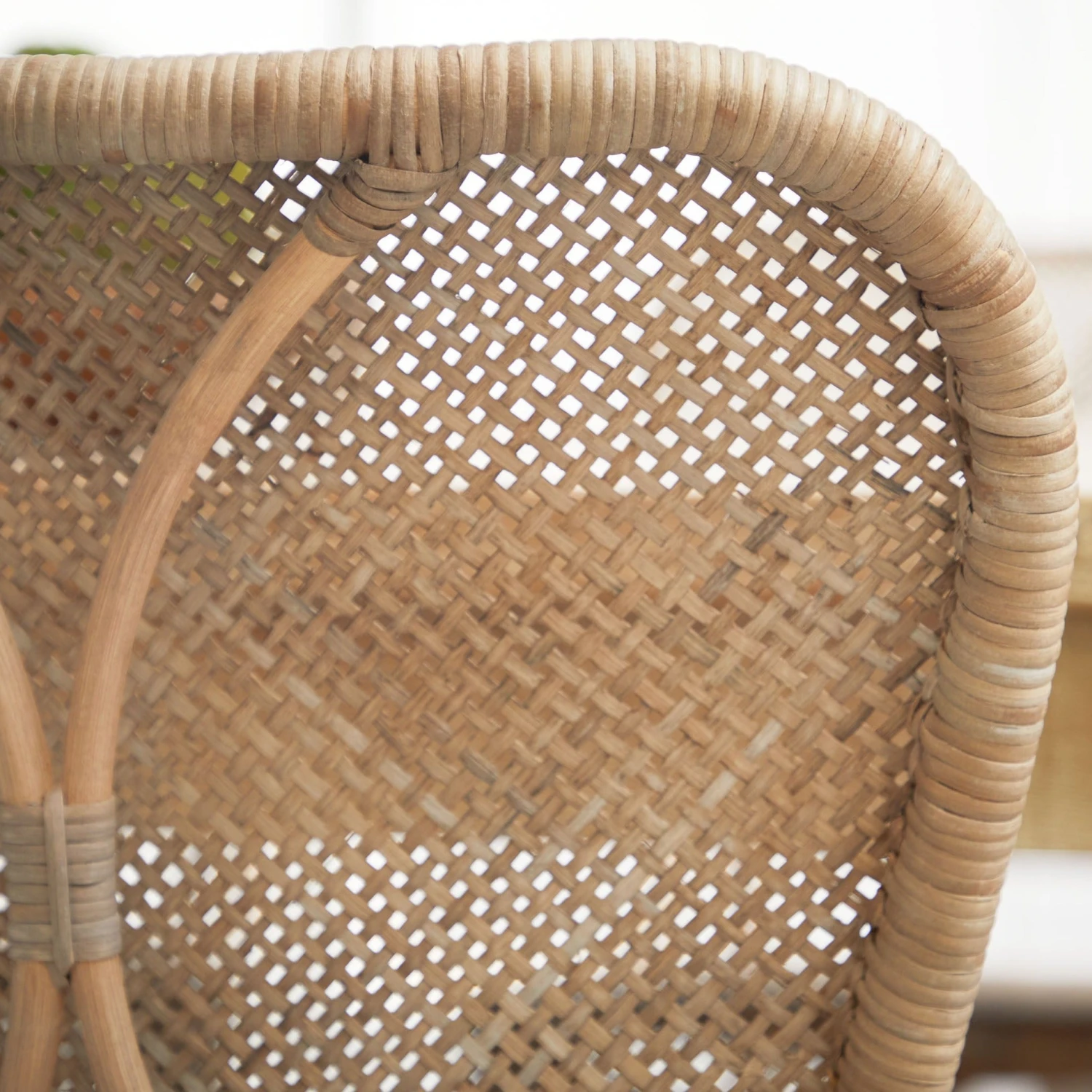 Palm Dining Chair, Set Of 2 7 Palm Dining Chair, Set Of 2 - Image 5