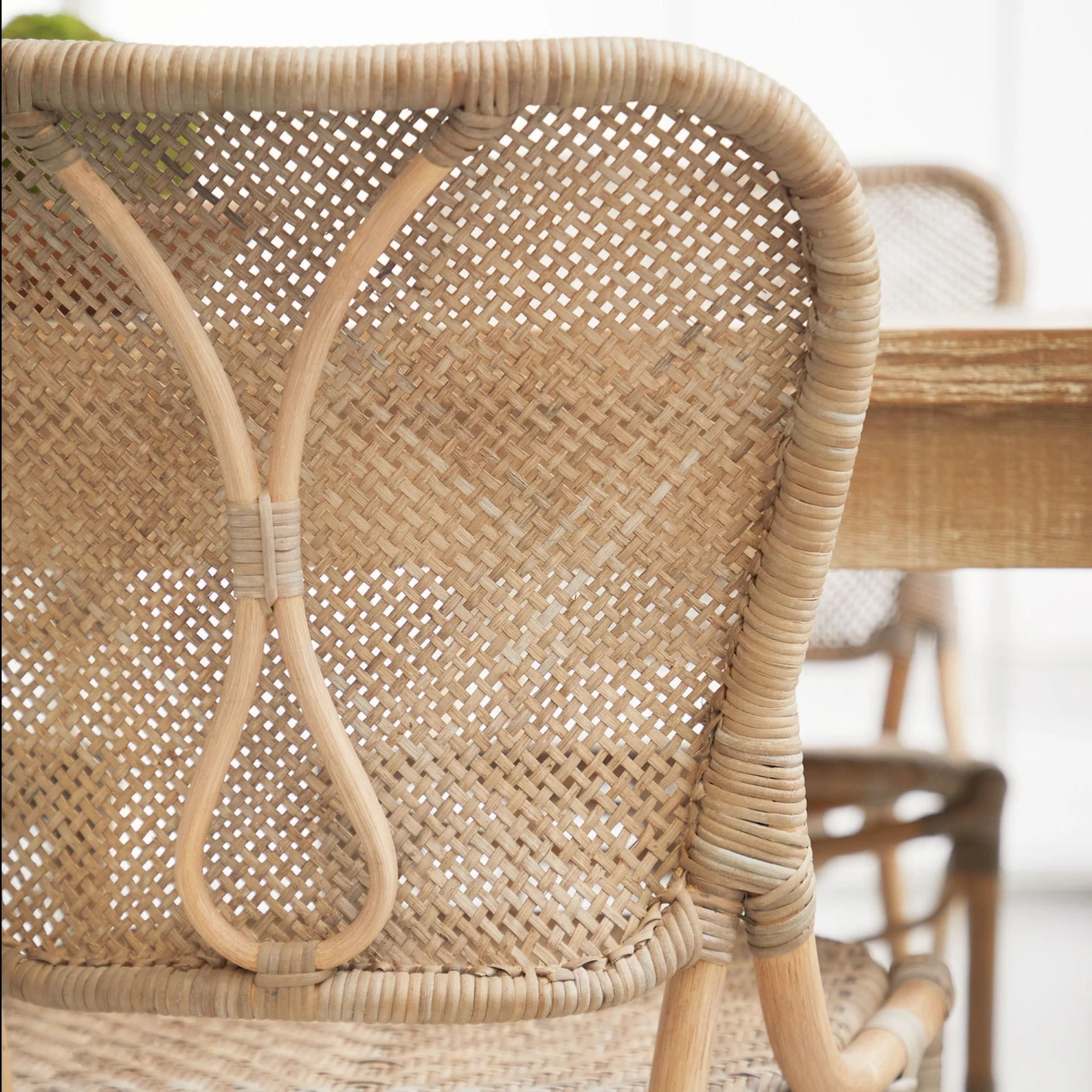 Palm Dining Chair, Set Of 2 4 Palm Dining Chair, Set Of 2 - Image 2