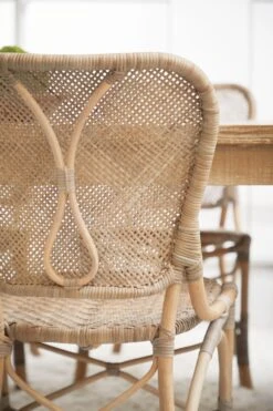 Palm Dining Chair, Set Of 2 17 Palm Dining Chair, Set Of 2 -Noir || Bloomingville Shop PalmDiningChair MatteGrayRattan 2 07 7f2d76dd f972 4609 aa24 2a6b7d6d49a2