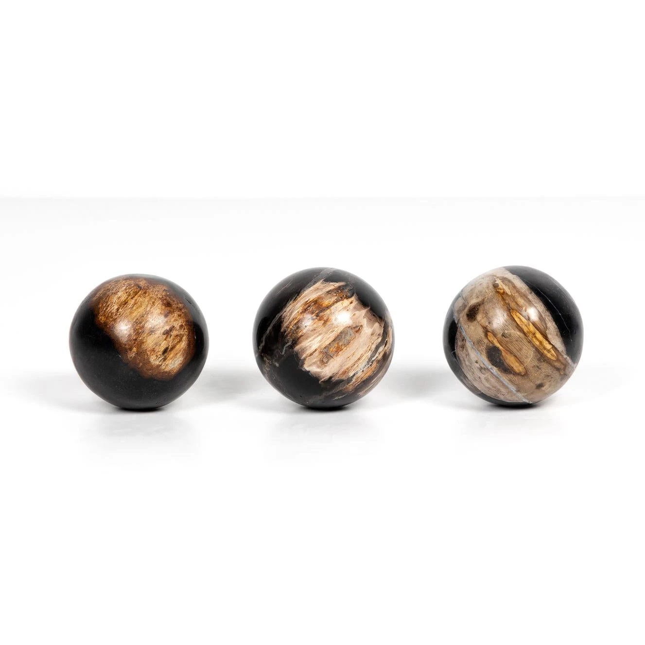 Petrified Wood Balls, Set Of 3 6 Petrified Wood Balls, Set Of 3 - Image 4