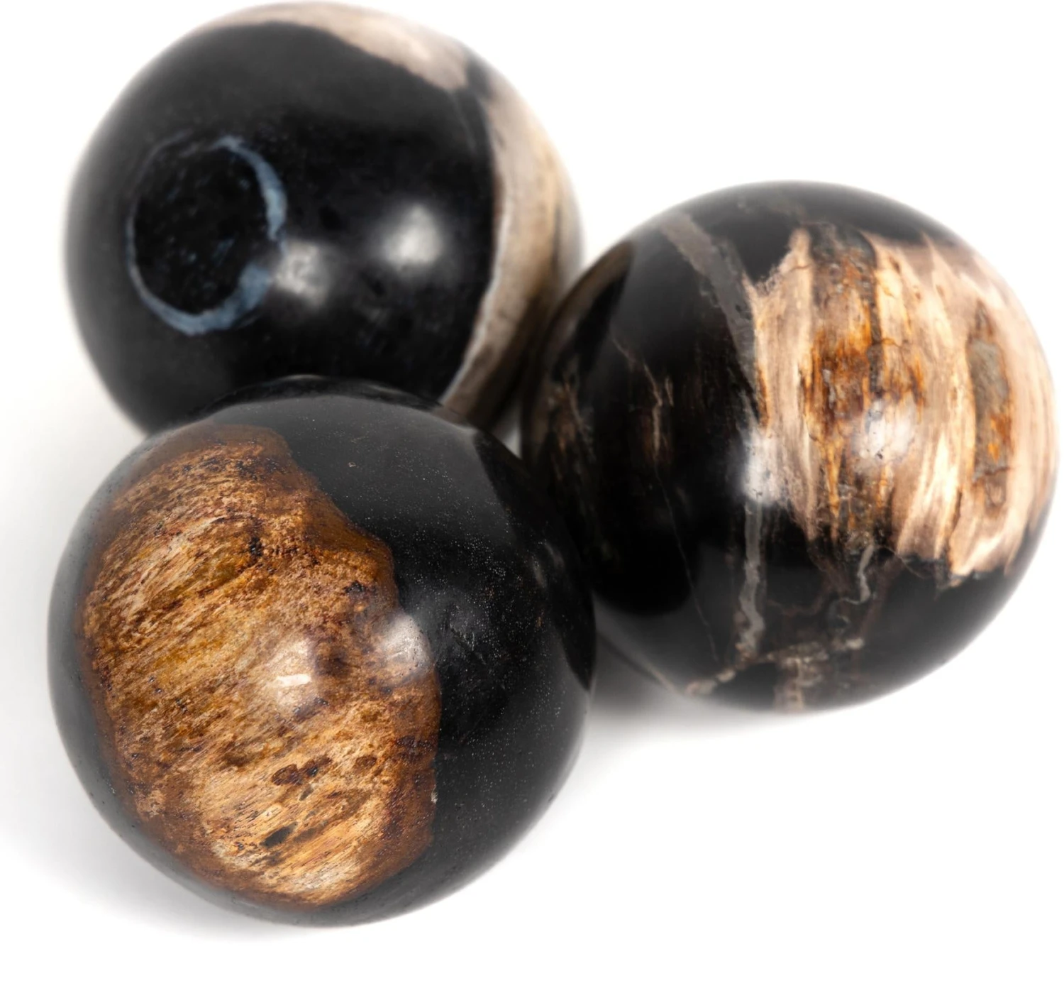 Petrified Wood Balls, Set Of 3 5 Petrified Wood Balls, Set Of 3 - Image 3