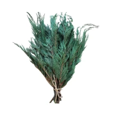 Bulk Preserved Cedar Greenery